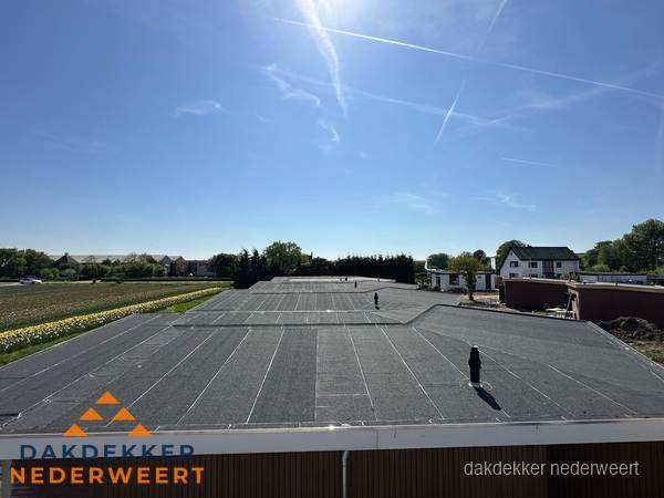 Groot plat dak met bitumen dakbedekking op bedrijfspand in Nederweert