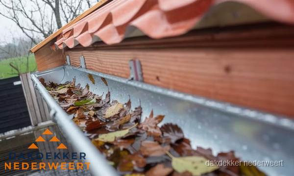Dakgoot vol bladeren die gereinigd moet worden in Nederweert