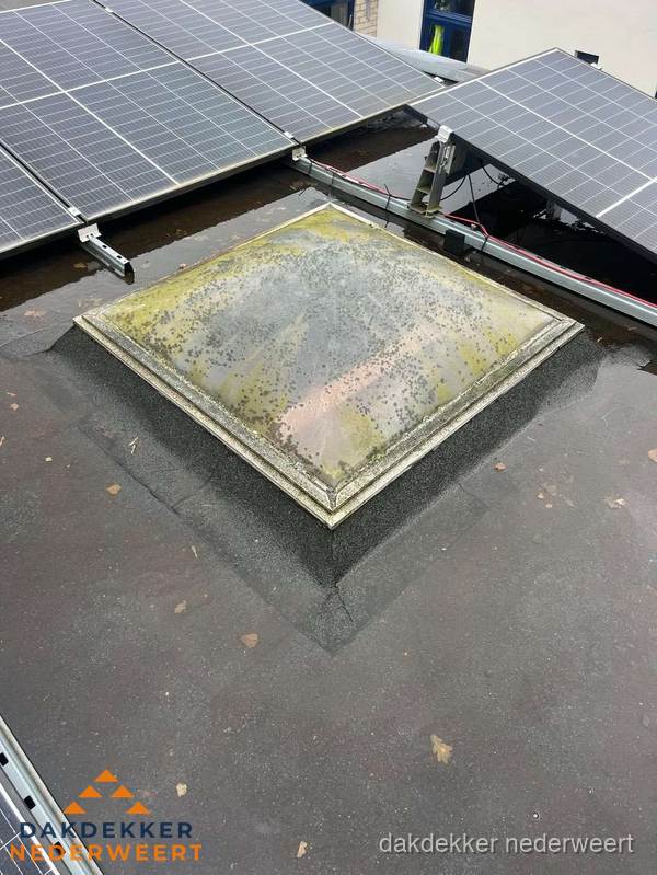 Vervuilde lichtkoepel op plat dak met zonnepanelen in Nederweert