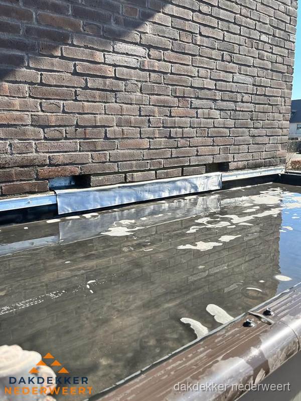 Stilstaand water op plat dak door slechte afwatering in Nederweert