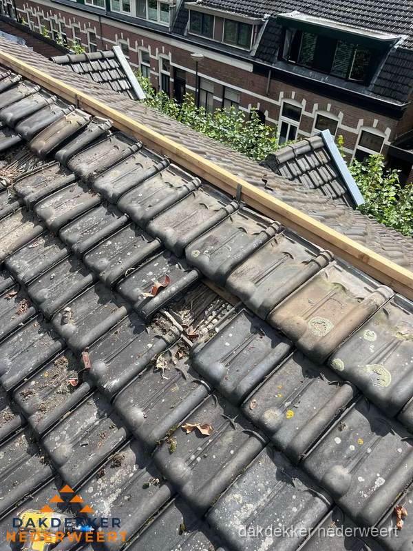 Dakonderhoud aan schuin pannendak met nokvernieuwing in Nederweert
