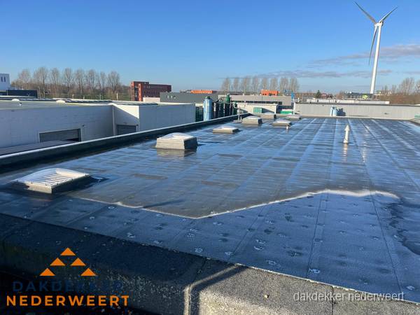 Plat dak bedrijfspand met bitumen dakbedekking en lichtkoepels in Nederweert