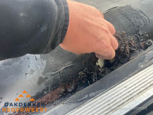 Schade aan bitumen dakbedekking op plat dak in Nederweert