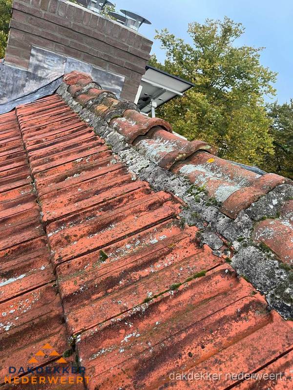 Verweerd hellend dak met mosgroei op nokvorst in Nederweert