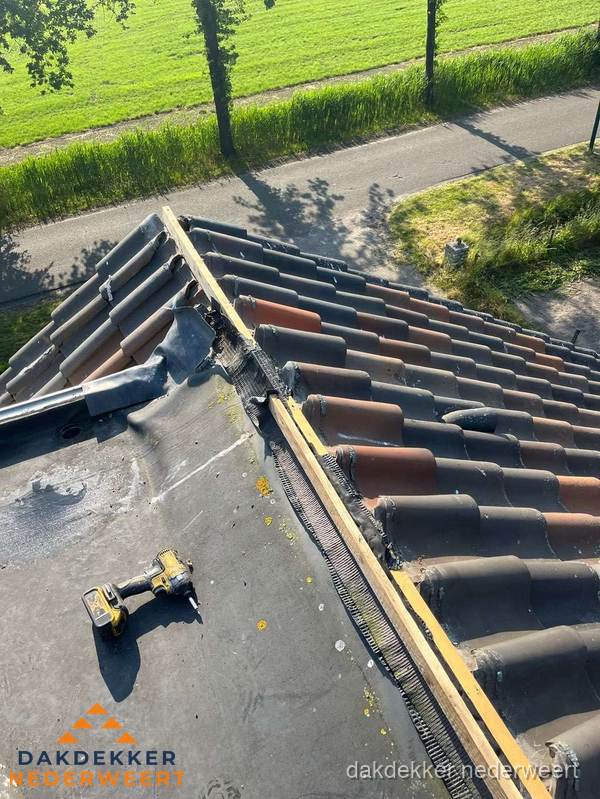 Kosten dakgoot vervangen: werkzaamheden aan dakrand in Nederweert